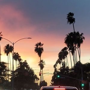 Meet your Posher, Emmanuel